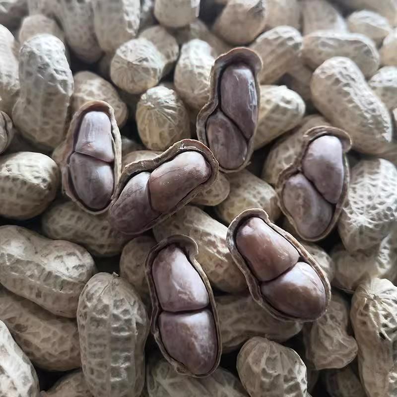 龙岩花生带壳蒜香咸干五香原味盐水白晒水煮花生米熟炒货零食