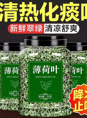 薄荷叶新鲜可食用干特级中药材泡茶泡水喝的东西调酒夏季清凉茶叶