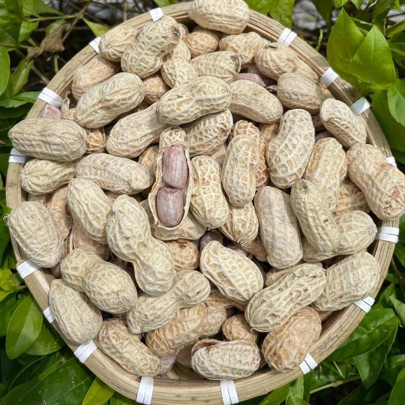 农家特产河源忠信水煮日晒咸干花生白晒咸味花生坚果零食下酒菜