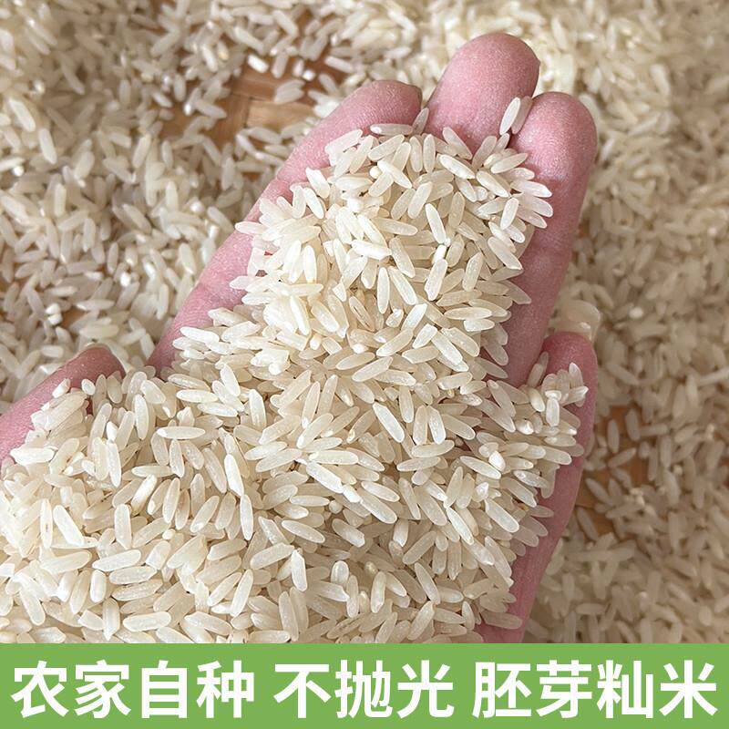 农家自种大米新长粒优质晚