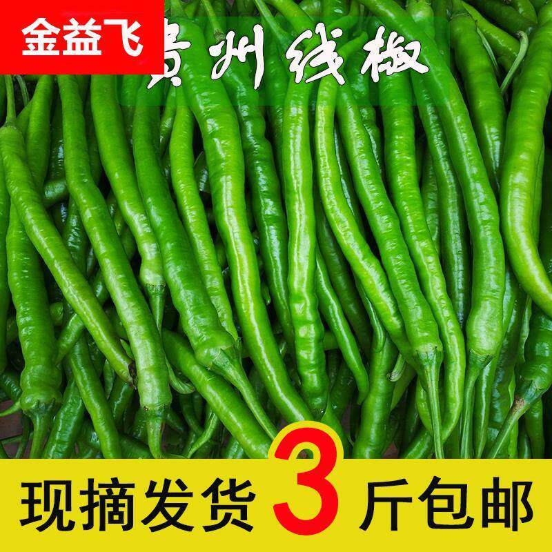 贵州新鲜线椒青辣椒蔬菜现