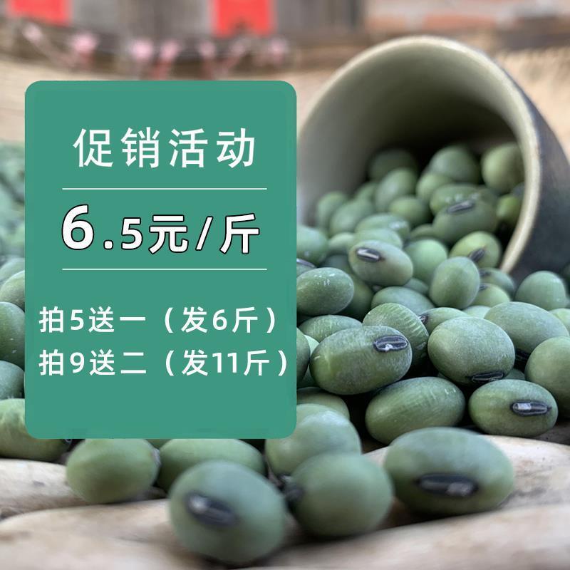 当季新货 农家自种 老品种大粒生青皮豆土青豆农户自留干青皮黄豆