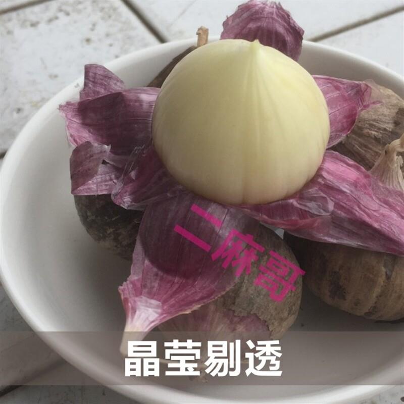 四川紫皮独蒜大蒜干蒜头今