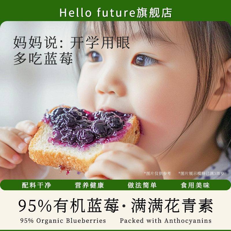 新品新鲜有机蓝莓果酱宝宝涂抹面包酱儿童添加无烘焙脂纯0送婴儿