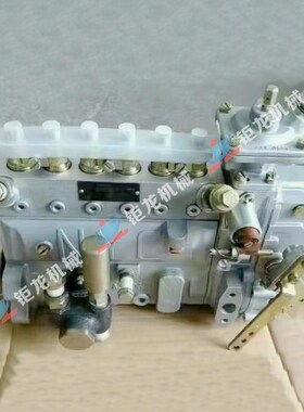 B6AD548高压喷油泵总成13030186燃油泵 柴油喷射泵