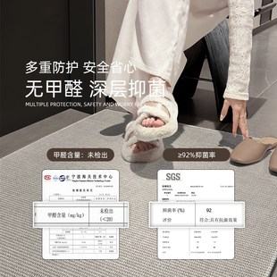 现代简约高级感家用入户门地垫z室外耐脏门厅脚踏垫门前地毯垫脚
