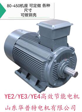 YE2YE3YE4高效节能电机75w132w出口朝鲜欧美200w185w