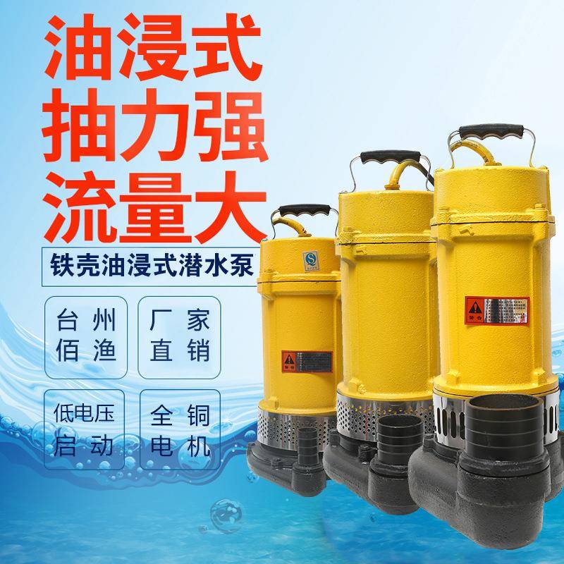 家用潜水泵油浸式铁壳中进水220V强力抽水高扬程小型抽水泵农用