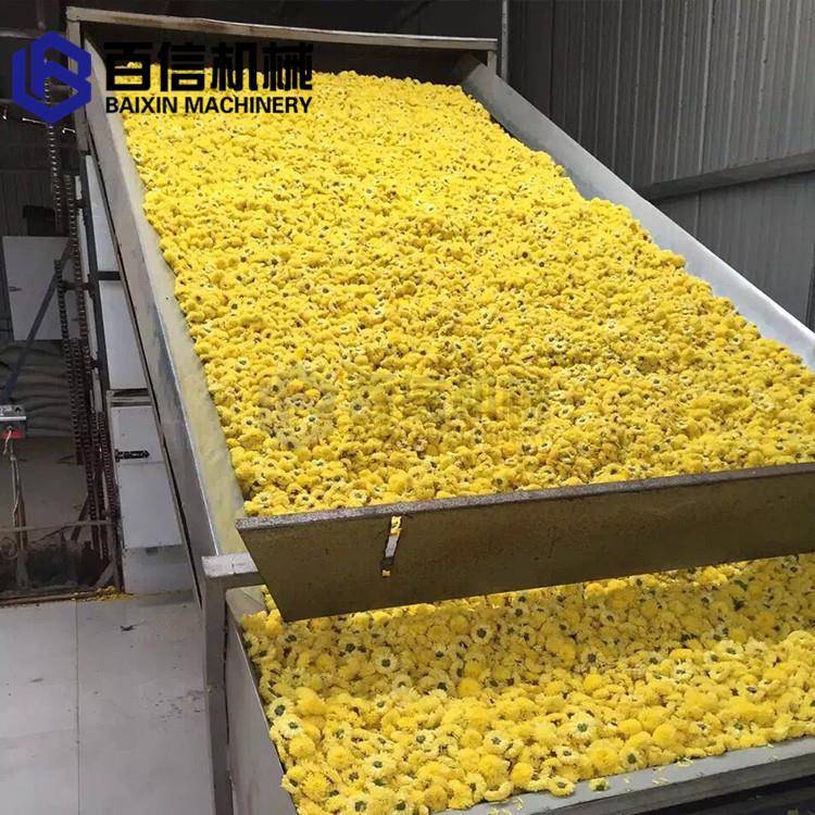 菊花烘干机全自动网带式菊花烘干机带式菊花皇菊干燥机