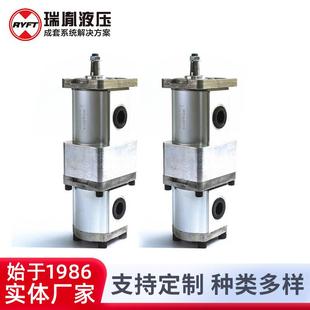 高转速高压力齿轮泵 厂家销售双联齿轮泵增压泵可组合式