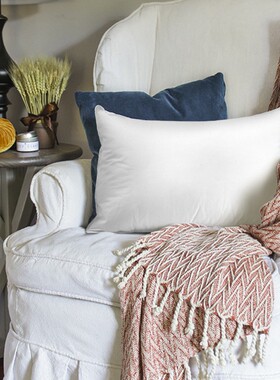 YASSIA鹅毛羽绒靠垫汽车抱枕芯酒店沙发办公室靠背床头护腰大靠枕