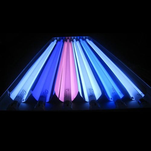 ATI T5HO灯管 l蓝/白/蓝白/荧光紫/斐济紫 24W 39W 54W 80W