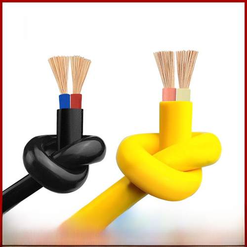 国标双芯电缆Rvv线软线1.52.5 4平方米10 20m护套电车充电源线