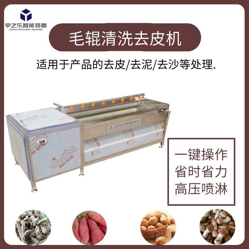 花蛤海鲜毛辊清洗机全自动土豆毛辊去皮机芋头洋葱毛辊洗果机