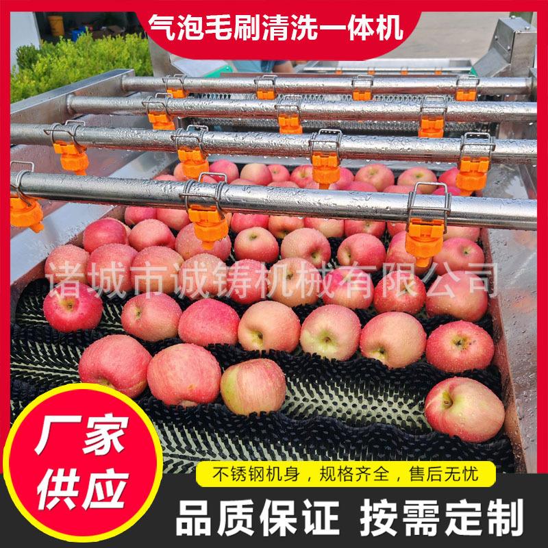 定制苹果清洗机橙子全自动洗果机生产线水果气泡毛刷清洗一体机