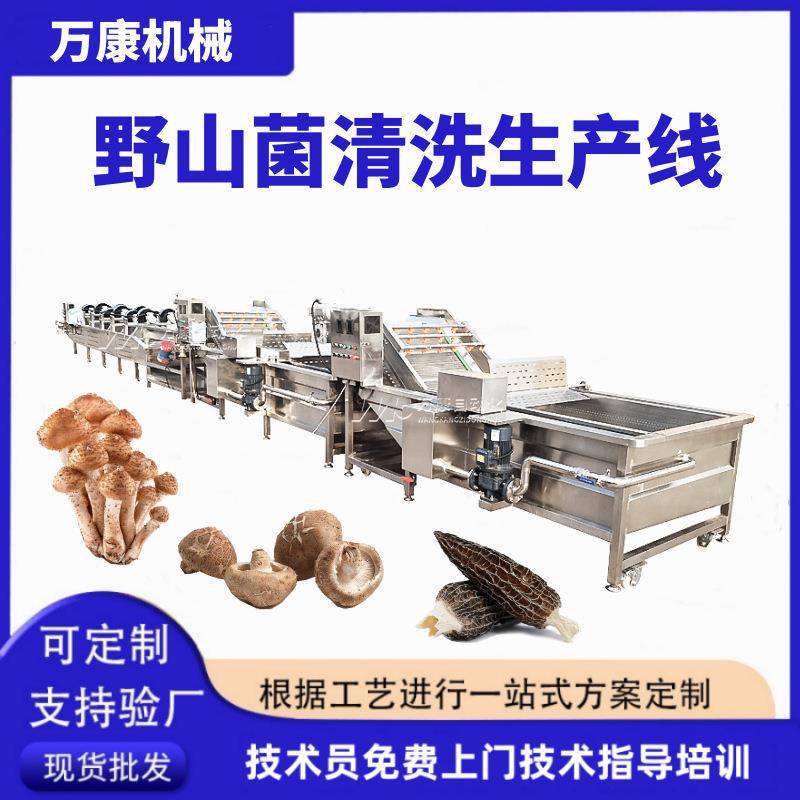 香菇气泡清洗机全自动菌菇蘑菇清洗加工设备野山菌去杂清洗机现货