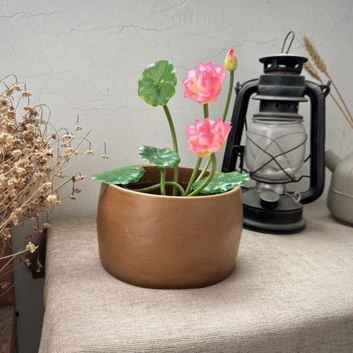 复古粗陶陶瓷大尺寸铜钱草碗莲绿萝水培养花盆器皿无孔古风雅致