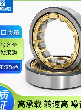圆柱滚子轴承大全N NJ NU NF306 307 308 309 310 311 312 313 EM