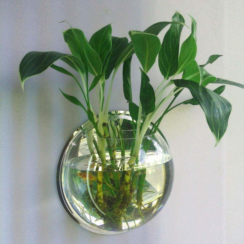 墙上挂饰免打孔挂墙上的花盆 壁挂花免打孔鱼缸墙壁花架玻璃挂饰