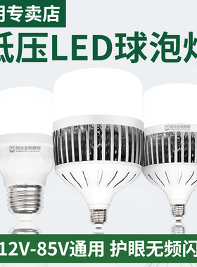 亚明低压LED灯泡12v24v36v48v85v交直流e27螺口e40球泡电瓶节能灯