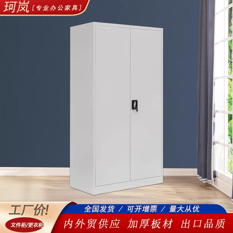 外贸闪电锁铁皮办公柜钢制资料二门多用储物柜更衣员工柜厂家跨境