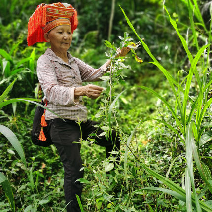 正宗广西金秀瑶族瑶浴泡脚药包去湿气助睡眠排毒脚X气中药足浴包