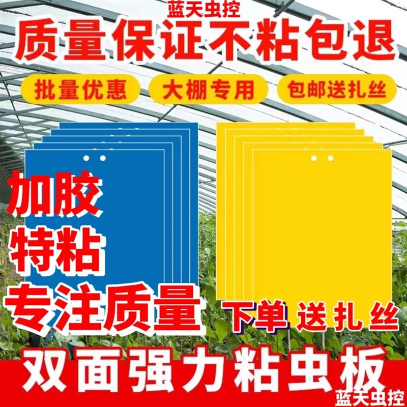 双面粘虫板诱虫板黄色灭小飞虫杀沾果蝇针蜂粘Q板蓝板蓟马大棚果