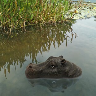 跨境直供河马头庭院池塘漂浮动物摆件鲨鱼背仿真装饰品现货
