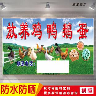 放养鸡鸭鹅蛋海报定制贴纸墙贴广告招牌喷绘防水防