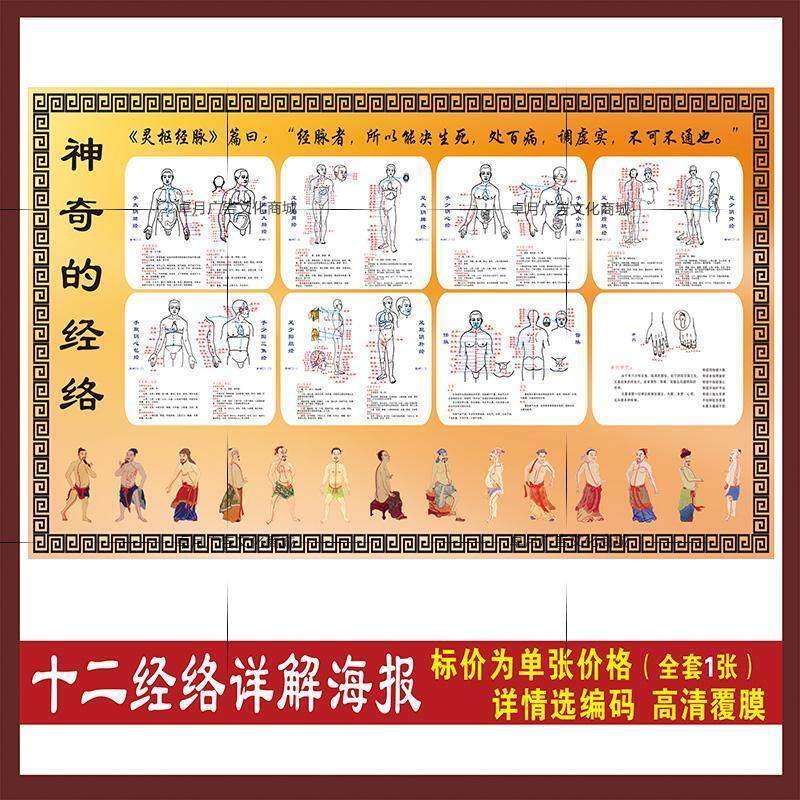 神奇的经络中医挂图 灵枢经脉人体十二脉络穴位示意图 养生馆海报