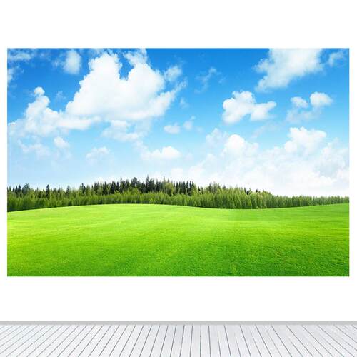 蓝天白云绿色草地客厅卧室墙贴画壁画自粘画辽阔的草原客厅装饰画