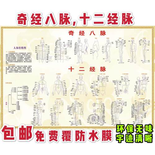 人体十二经络穴位图奇经八脉中医保健挂图医疗健康宣传壁画
