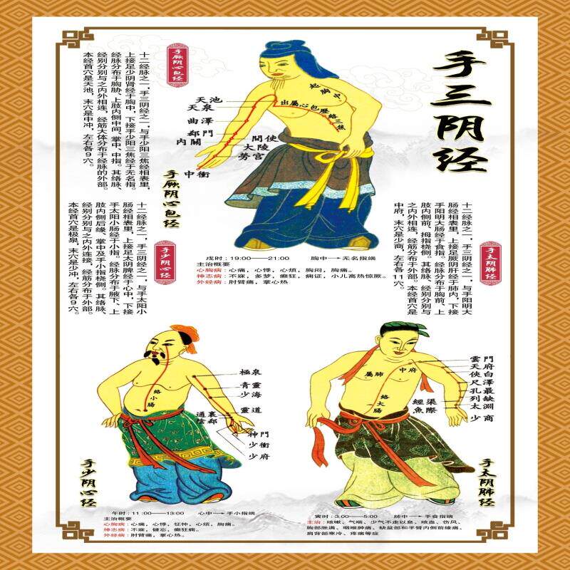 中医十二穴位图人体经络穴位图按摩大挂图解全身经脉筋络手三阴经