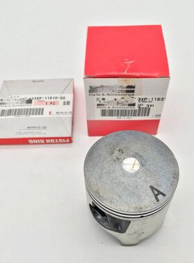 DT200WR 活塞/活塞环