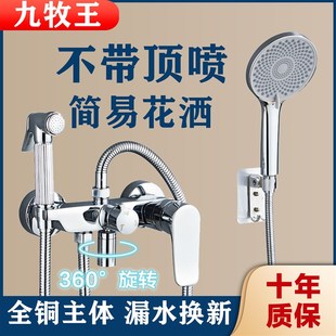 全铜简易花洒无顶喷淋浴套件喷头A浴室莲蓬头家用手持增压不带花