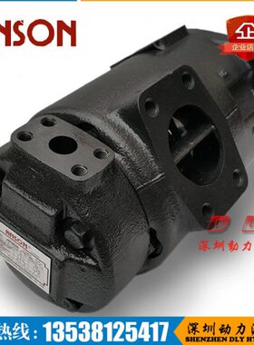 142/L/P3/-1038CDV/10/CCBL-F/-CA////-14-5R/321/3511C11113I-/