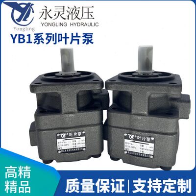 /510126叶片泵////1625.油泵居永灵13.32B6-5//810320012//0Y仙/