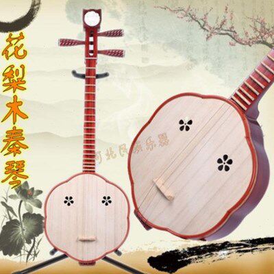 红木秦琴 民族乐器秦琴乐器 花梨木秦琴 红木三弦秦琴弹专业演奏