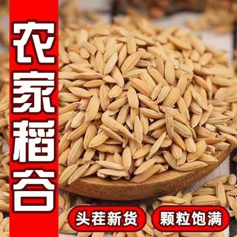 100斤长稻谷带壳稻酿酒枕头填I充喂鸡鸭鹅鸽子动物饲料