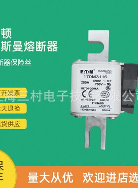 全新原装快速熔断器保险丝170M3197 170M3198 170M3208 170M3209