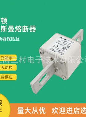 全新原装快速熔断器保险丝170M4612 170M4613 170M4614 170M4615