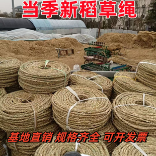 稻草绳草绳子花木移栽捆绑树木保暖保湿防寒防冻捆扎土球编织草绳