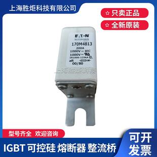 170M4814 4815 4816 4817巴斯曼快速熔断器170M4813 1000V 200A
