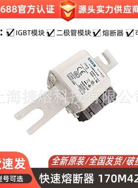 170M4258 170M4259 170M4260低压熔断器 标准封装 全新现货直发