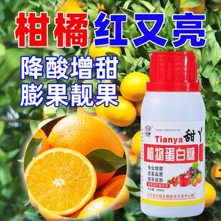 柑橘增甜剂果树膨大素水果专用增甜增产退酸砂糖橘脆蜜桔脱酸肥料