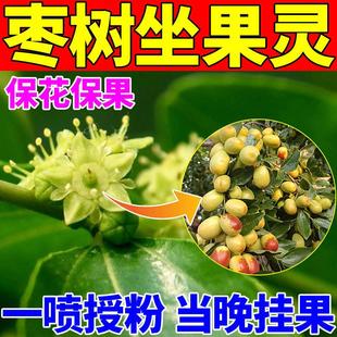 枣树坐果灵保花保果授花粉药防落裂坏果树膨大增甜增产专用叶面肥