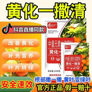 黄化一撒清果树龙病专用药撤清柑橘黄化修覆剂撒施颗粒肥料
