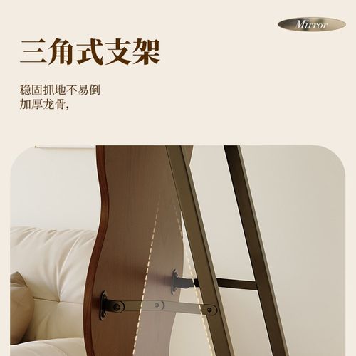 穿衣镜网红波浪形全身镜卧室更衣试衣镜家用异型轻奢落地全身镜