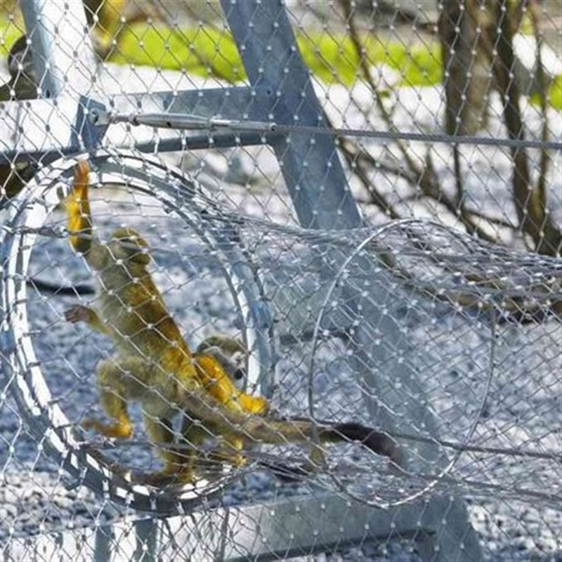 不锈钢绳网高空防坠动物园围栏鸟语林防护安全网卡扣式不锈钢绳网