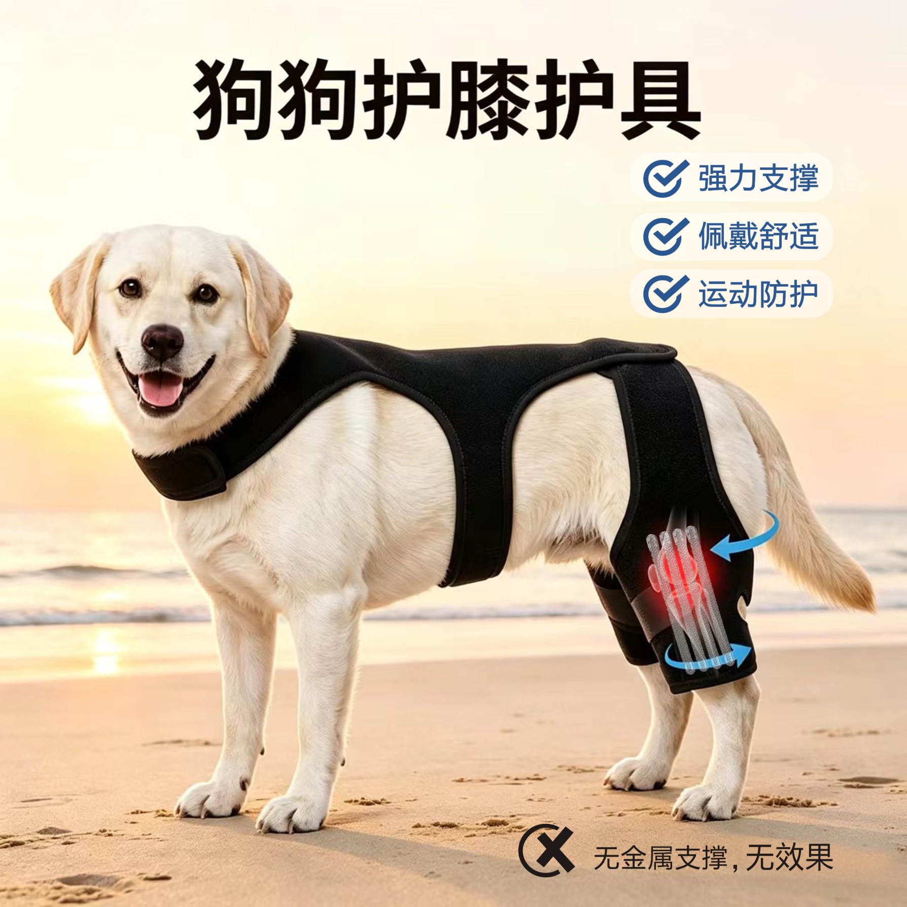 狗狗ACL后腿支撑韧带拉伤防护